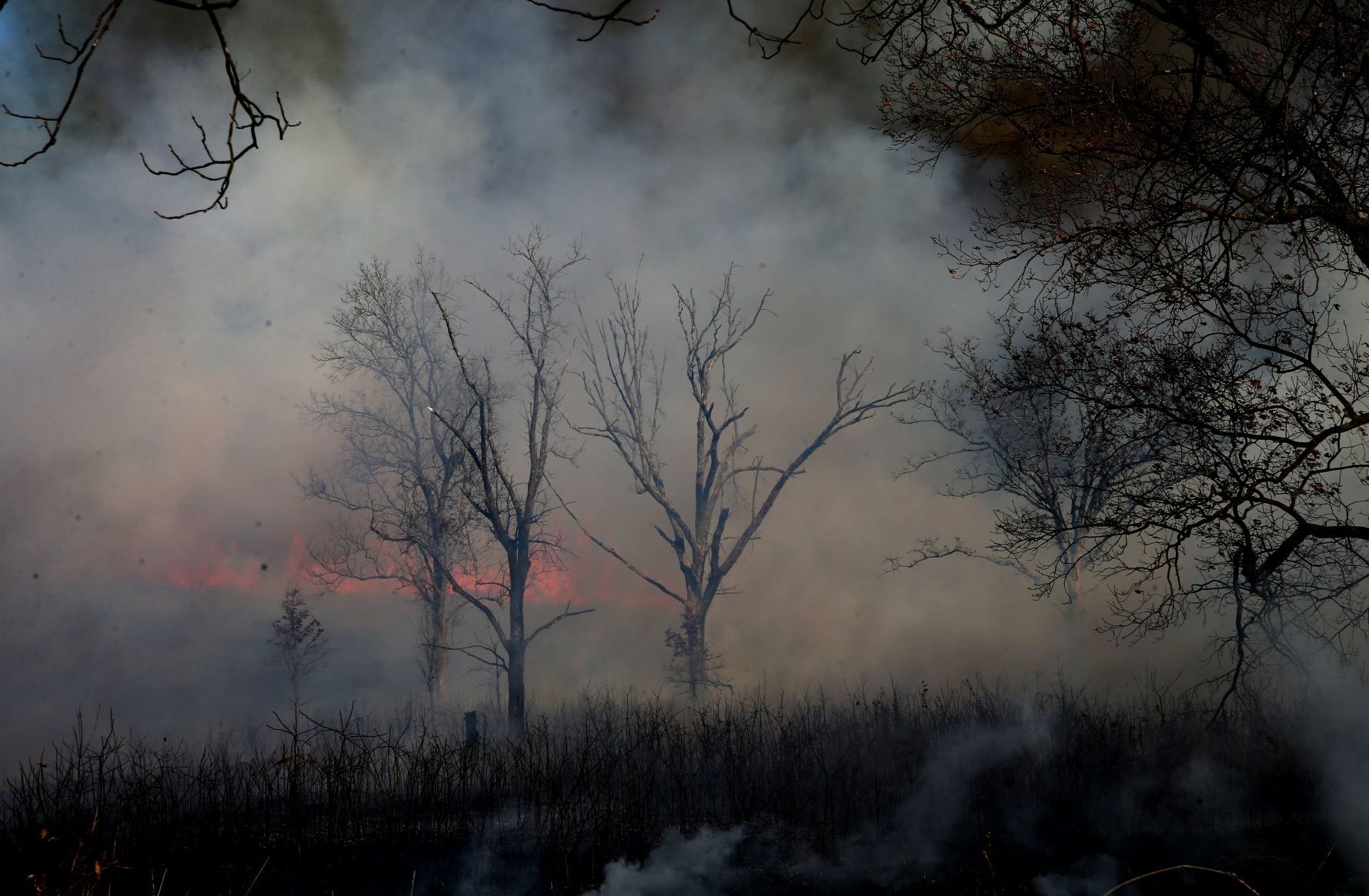 Citizens watch a prescribed burn at Shaw Nature Reserve